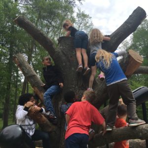 Nature Play Training Institute:  Natural Materials and Play Spaces