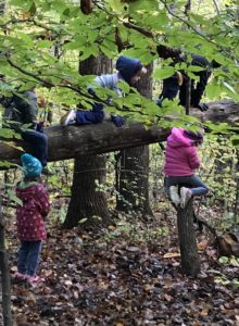 Forum on Forest School and Nature-Based Learning