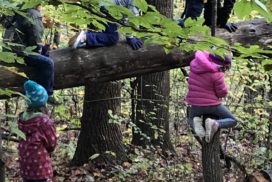 Forest School and Nature Preschools
