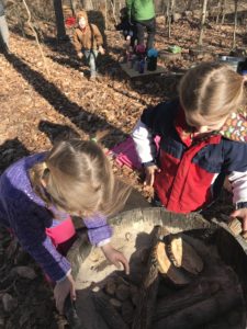 Nature Play Training Institute on Loose Parts - May 31st
