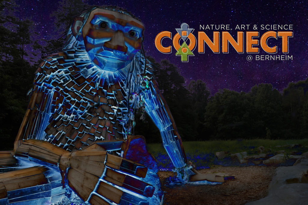 Free Play at Bernheim's CONNECT